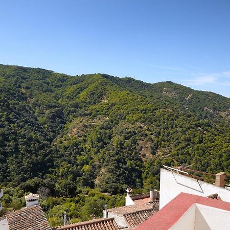 Casa La Parra Villa Jubrique ภายนอก รูปภาพ